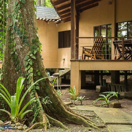 Casa Koda Beach Front โกเกลส ภายนอก รูปภาพ